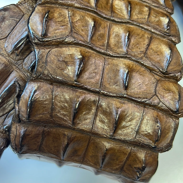 Leather Hide Skin Crocodile Backs