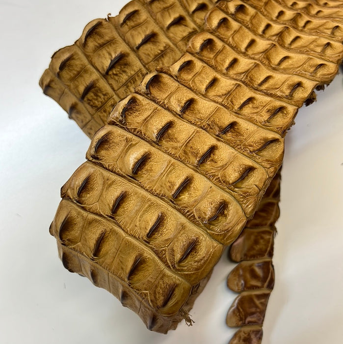Leather Hide Skin Crocodile Backs