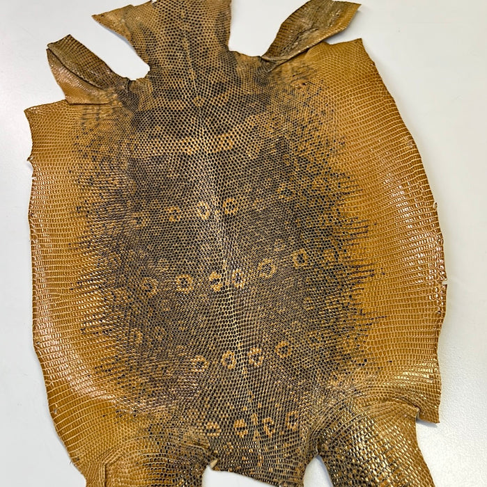 Lizard Leather Skins