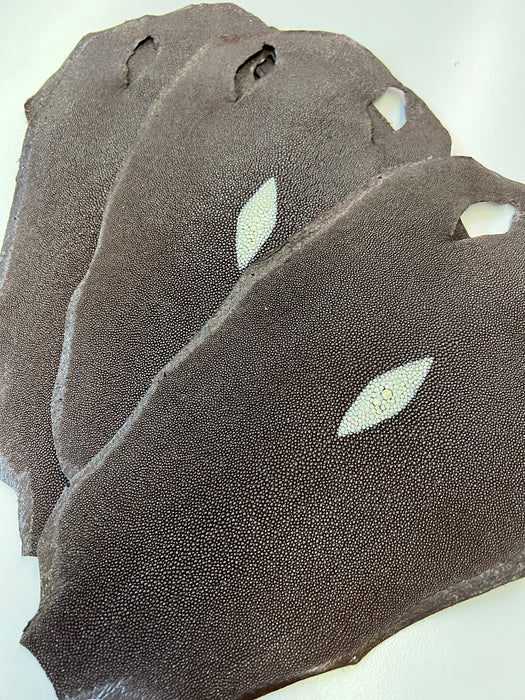 Stingray Skins