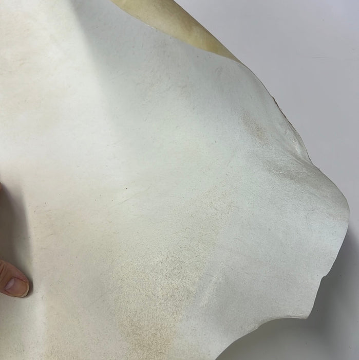 Rawhide, Parchment ideal for lamps and furniture