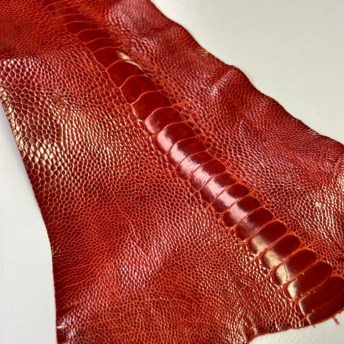 Leather skin hide