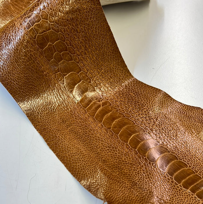 Leather skin hide