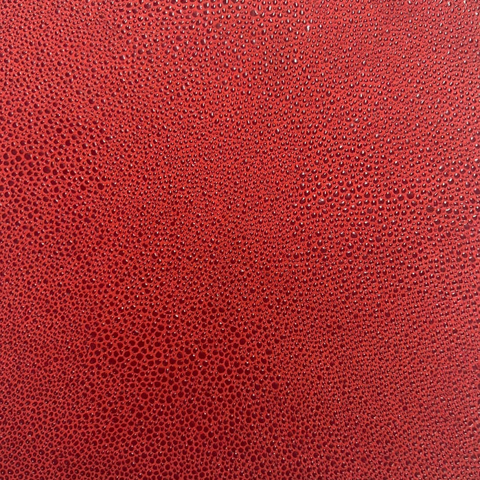 LEATHER LIBRARY of Prints Leather Suede
