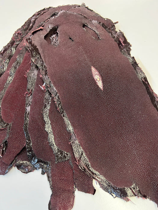 Stingray Skins