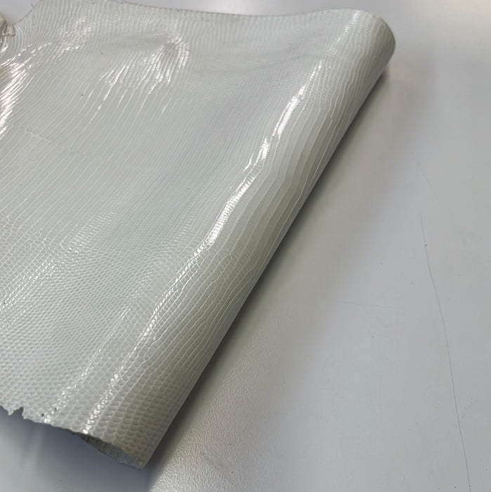 Lizard Leather Skins