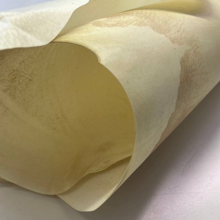 Rawhide, Parchment ideal for lamps and furniture