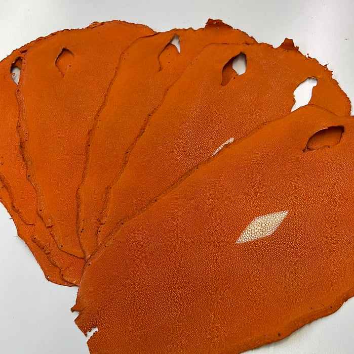 Stingray Skins
