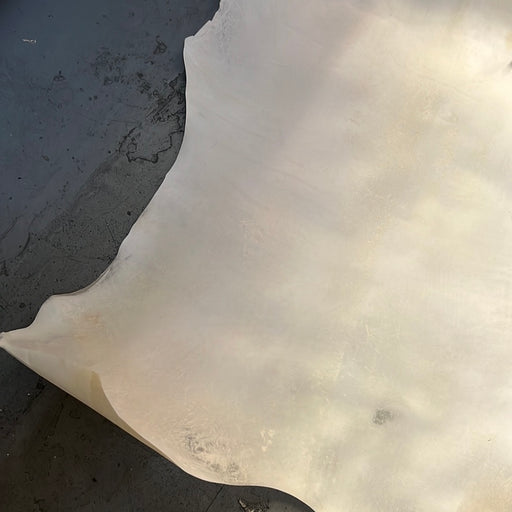 Rawhide, Parchment ideal for lamps and furniture