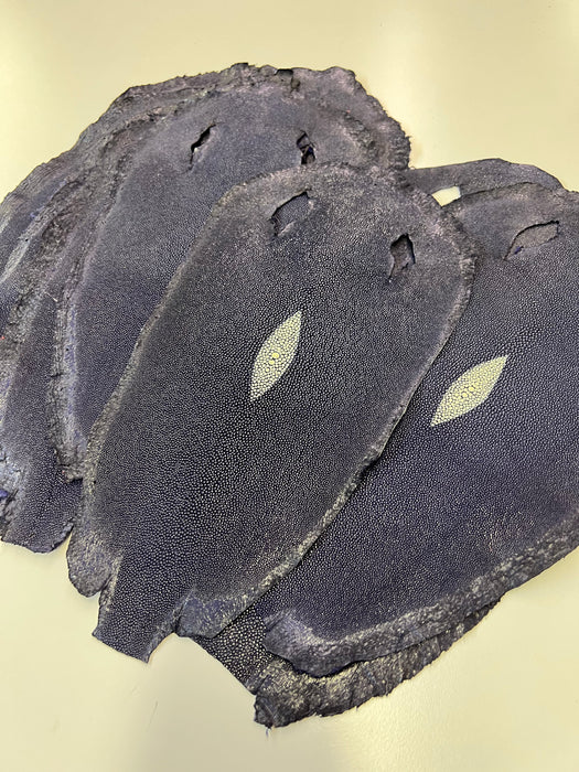 Stingray Skins