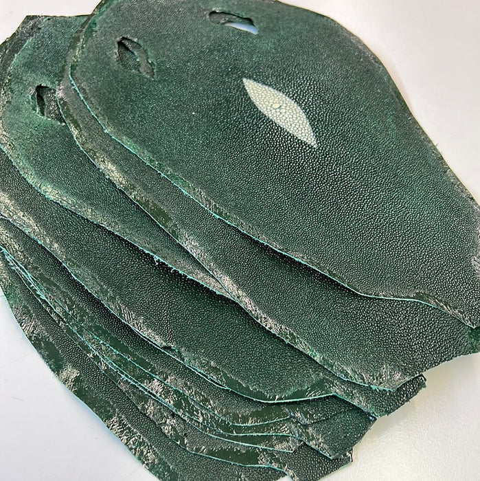 Stingray Skins