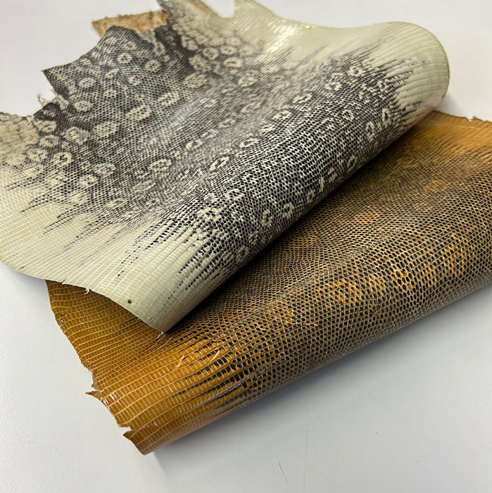 Lizard Leather Skins