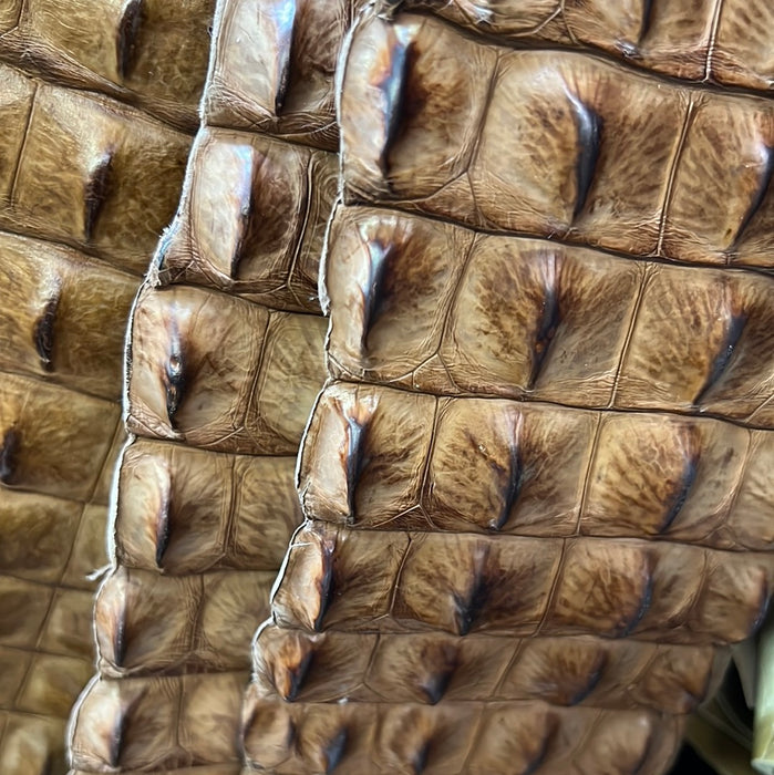 Leather Hide Skin Crocodile Backs