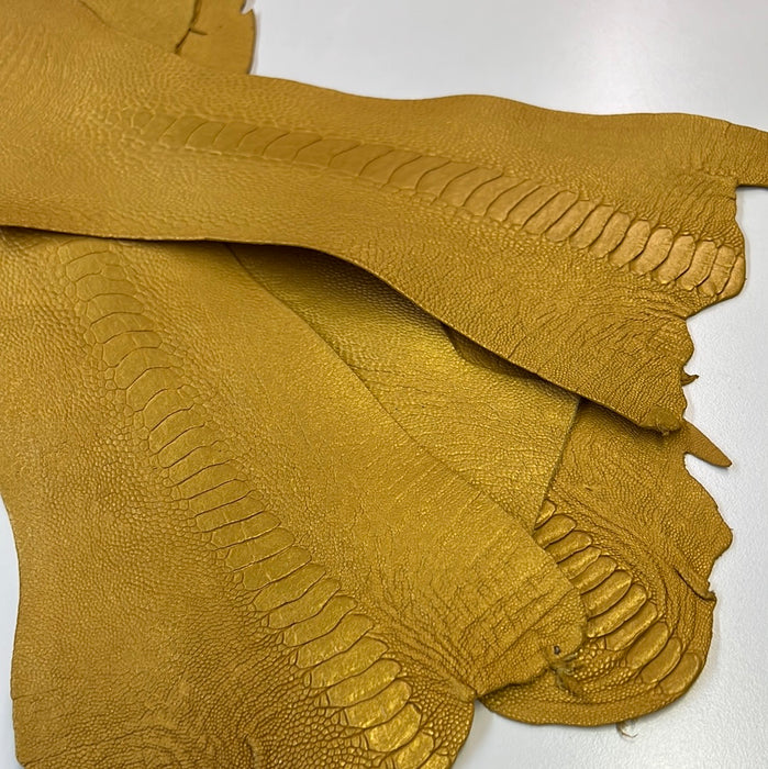 Ostrich leather