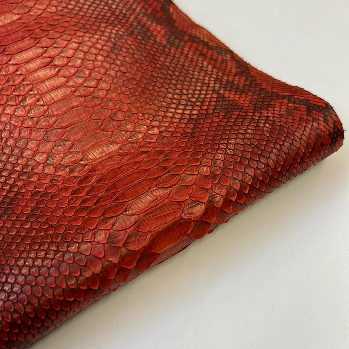 Python Tanned leather skin with markings